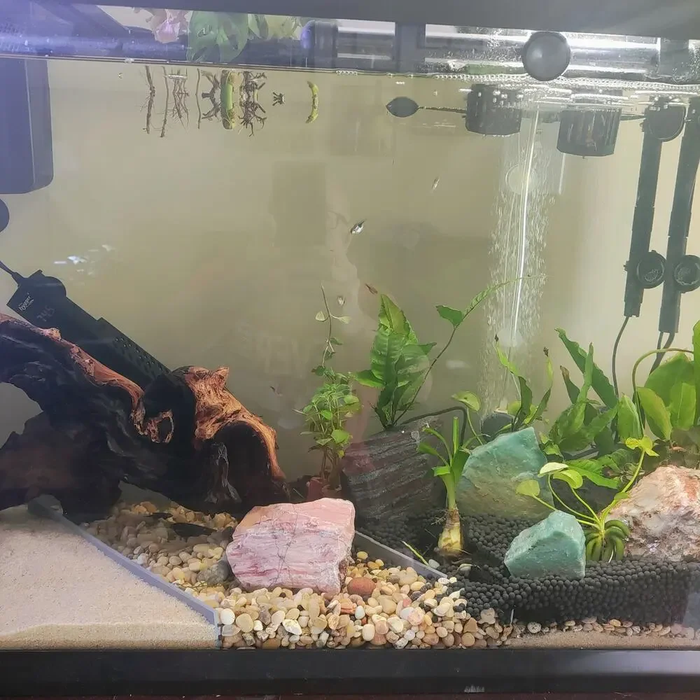 Aquarium Substrate Divider | Tank Separator for Aquascaping | Fish Tank Barrier